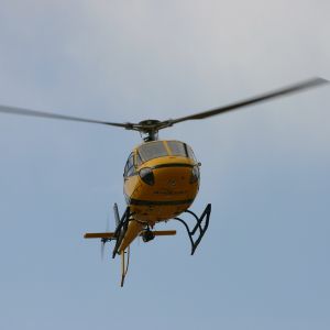 hfd gallery