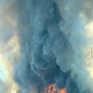 hfd gallery